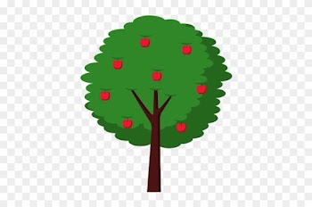 Fruit Apple Tree - Tree