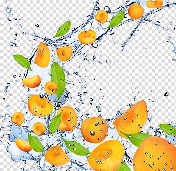 Fruit Apricot , Creative splashing peaches transparent background PNG clipart