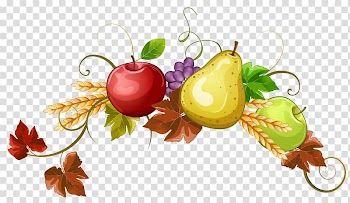 Fruit Autumn , fruits basket transparent background PNG clipart
