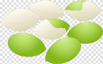 Fruit, autumn japan transparent background PNG clipart