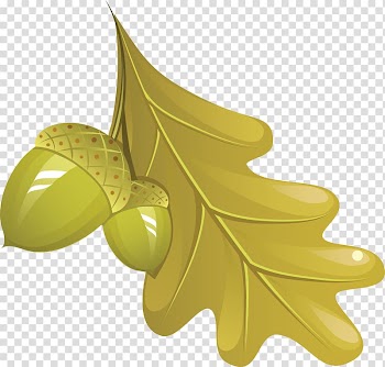Fruit Autumn Leaf, autumn leaf transparent background PNG clipart