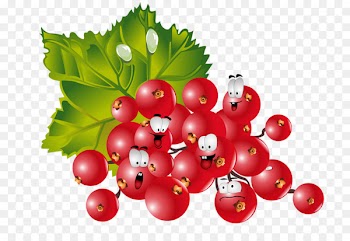 Fruit Berries Vegetable Clip art Food - berries 