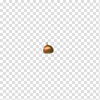 Fruit, brown onion transparent background PNG clipart