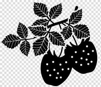 Fruit brushes, leaf and fruit illustration transparent background PNG clipart