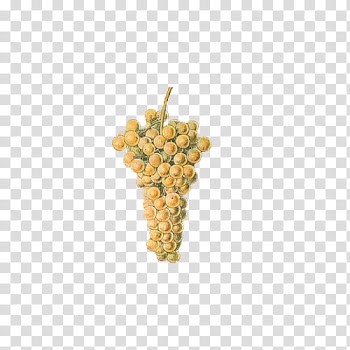 Fruit, bunch of grape fruit illustration transparent background PNG clipart