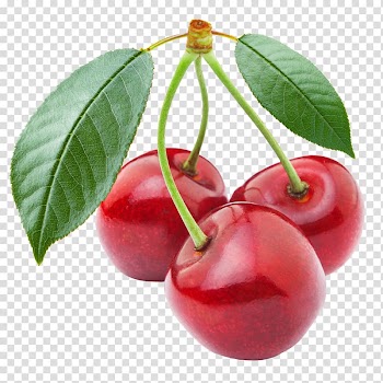 Fruit Canvas print Cherries Art, 樱花 transparent background PNG clipart