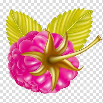 Fruit , Cartoon plum transparent background PNG clipart