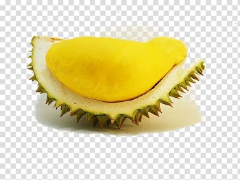 Fruit Chanthaburi Province Durian Langsat Betong District, fruit industry transparent background PNG clipart