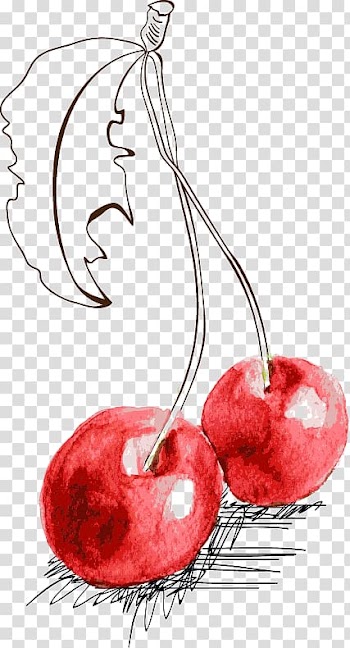 Fruit Cherry Illustration, Hand-painted cherry transparent background PNG clipart