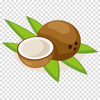 Fruit Coconut milk , Coconut transparent background PNG clipart