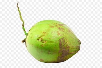 Fruit Coconut water Coconut milk Nata de coco - Fresh green coconut 