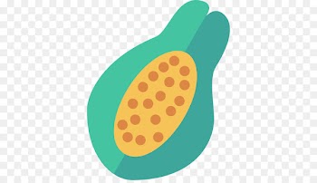 Fruit Computer Icons Scalable Vector Graphics Food - calories icon 