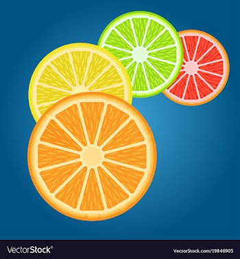 Fruit cytrus vector image