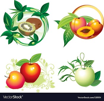 Fruit designs vector image