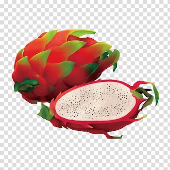Fruit Drawing Auglis, Hand drawn sketch 3d of fruit transparent background PNG clipart
