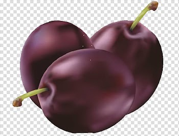 Fruit Drawing, Plum transparent background PNG clipart