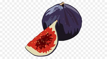 Fruit Drawing Portable Network Graphics Fig Image - educacioacuten transparency and translucency 
