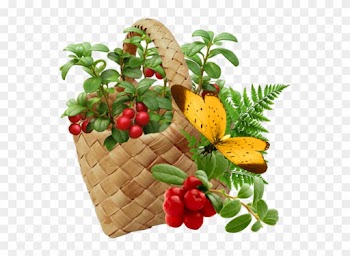 Fruit Et Legumes - Breast Cancer: Reduce Your Risk With Foods You Love