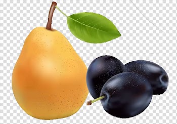 Fruit European pear Food, pear transparent background PNG clipart