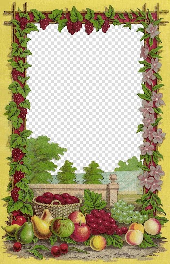 Fruit Frames Seed , Fruit Borders transparent background PNG clipart