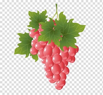 Fruit Grape Banana Euclidean , grapes transparent background PNG clipart