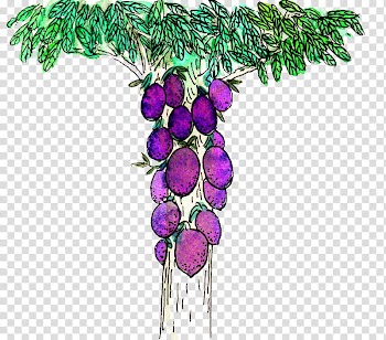 Fruit, green and pink floral beaded necklace transparent background PNG clipart