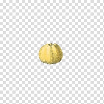 Fruit, green fruit illustration transparent background PNG clipart