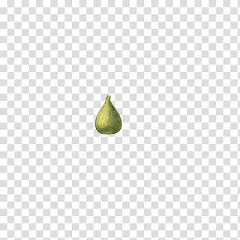Fruit, green fruit transparent background PNG clipart