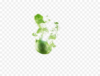 Fruit, Green, Plant PNG