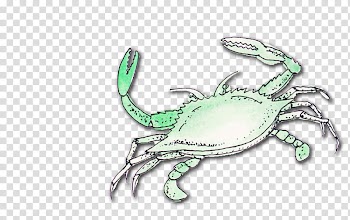 Fruit, grey crab illustration transparent background PNG clipart