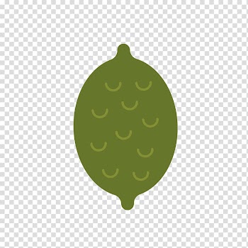 Fruit Hami melon Vegetable Cucumber, Melon and fruit transparent background PNG clipart