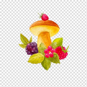Fruit Leaf Green Vegetable, Painted vegetables transparent background PNG clipart