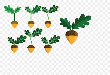 Fruit, Leaf, Plant Stem, Plant PNG