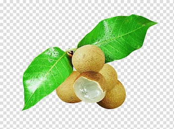 Fruit Longan Purple mangosteen Kanghong Food, litchi transparent background PNG clipart