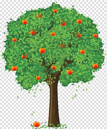 Fruit Loose and Fancy Tree Tangerine Lemon, Painted Apple Tree , apple tree filled with fruits graphic sticker transparent background PNG clipart