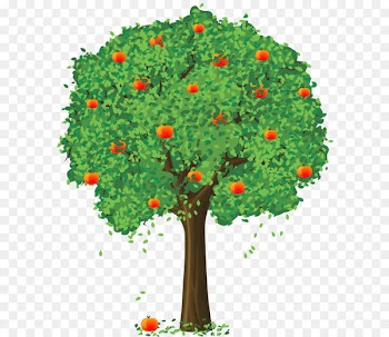 Fruit Loose and Fancy Tree Tangerine Lemon - Painted Apple Tree PNG Clipart 