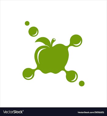 fruit network template