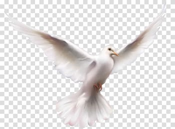 Fruit of the Holy Spirit Baptism Christianity, symbol transparent background PNG clipart