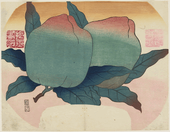 Fruit on Vine (1830s) print | Free Photo - rawpixel