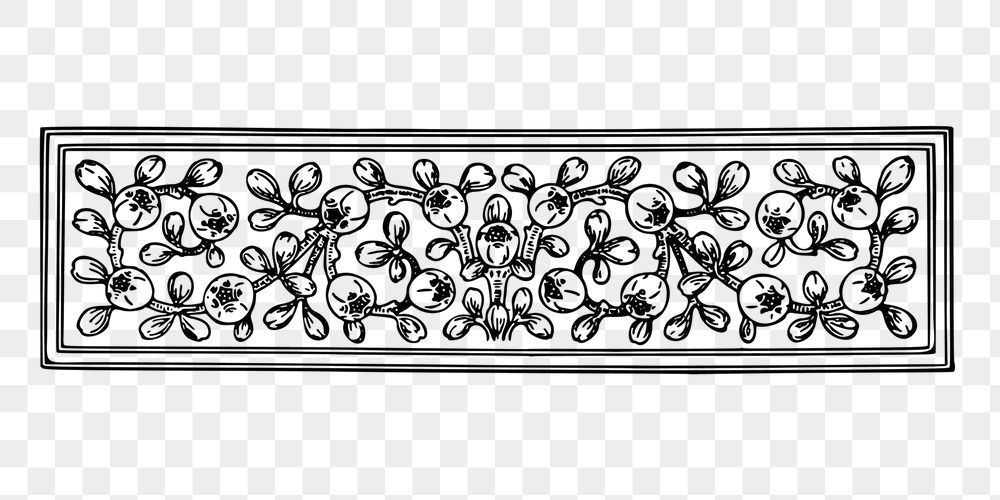 Fruit ornament png divider sticker, | Free PNG - rawpixel