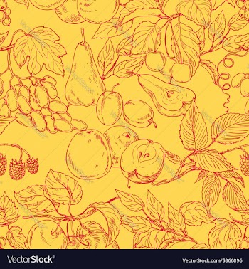  					Fruit outline pattern vector image														
