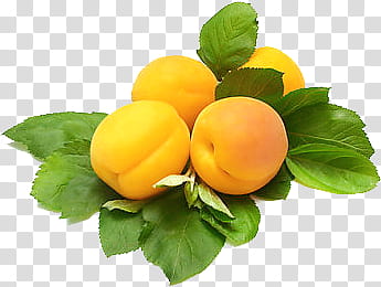 Fruit P, orange fruits transparent background PNG clipart
