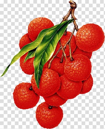 Fruit P, red fruits transparent background PNG clipart