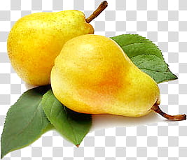 Fruit P, two peach fruits transparent background PNG clipart
