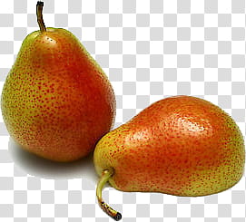Fruit P, two red avocados transparent background PNG clipart