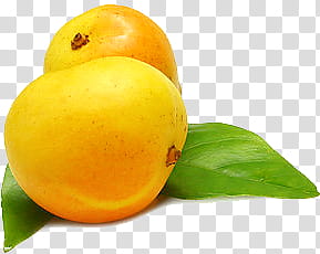 Fruit P, two round yellow fruits transparent background PNG clipart