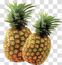 Fruit P, two yellow pineapples transparent background PNG clipart