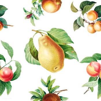 Fruit patterned background | Free stock vector - 564360