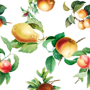 Fruit patterned background | Free stock vector - 564392
