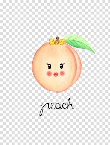 Fruit Peach Drawing Watercolor painting, peach transparent background PNG clipart